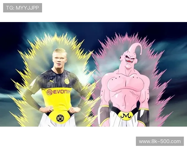 哈兰德饮食管理揭秘,私人营养师团队专访 哈兰德饮食管理揭秘,私人营养师团队专访